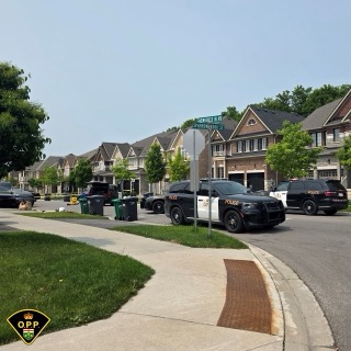 Three police vehicles parked on a residential street.