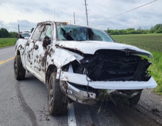 White pickup truck with significant front-end damage, covered in mud and vegetation.