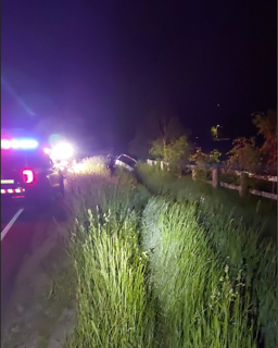 Damaged vehicle in tall grass, police lights visible