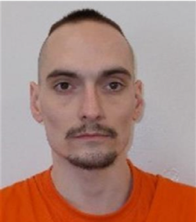 Man with shaved head and goatee, orange shirt, neutral expression