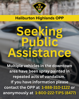 Spray-painted vehicles