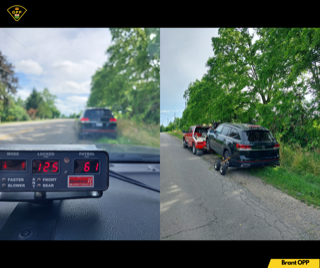 Dashboard display showing speed and patrol distance. Several vehicles stopped on the side of a road, green foliage in background.