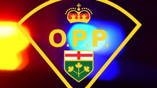 Ontario Provincial Police crest with maple leaf and provincial flag.