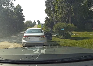 Silver car partially blocking a narrow road, green foliage on both sides