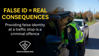 Police officer speaking to someone through a car window.