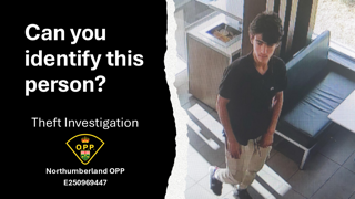 Person wearing dark clothing and a face mask, stealing from a store.