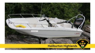 White boat with a black Mercury outboard motor, surrounded by green foliage.