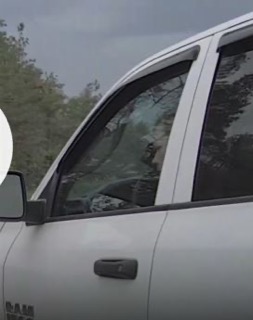 White pickup truck side view