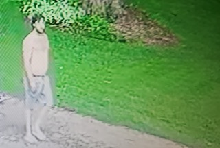 Person in a long white dress standing in grass