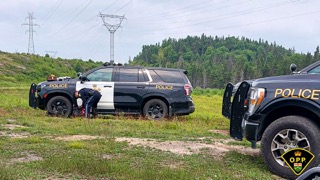 Police officer examining a vehicle in a grassy field.