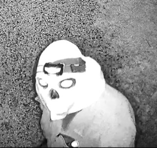 A person wearing a skull mask.