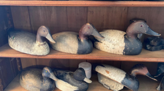 Several carved duck decoys on wooden shelves.