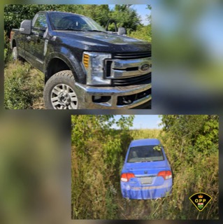 Black pickup truck partially submerged in tall grass. Blue sedan partially submerged in tall grass.