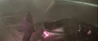 Pink car headlights.