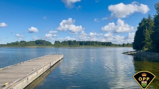 Wooden dock extending over calm lake, evergreen trees line the far shore, blue sky with fluffy clouds