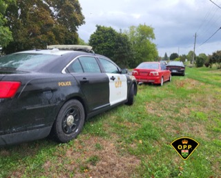 Black police cruiser, red car in background, grassy field