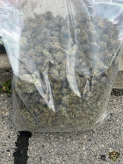 Clear plastic bag filled with leafy green plant material