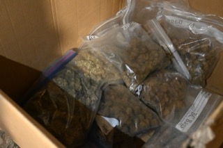 Brown material in clear plastic bags inside a cardboard box