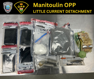 Small baggies of pills, Canadian money, and a green pill.