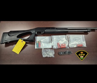 Shotgun and ammunition on a wooden surface.