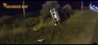 Vehicle embedded in dense foliage.