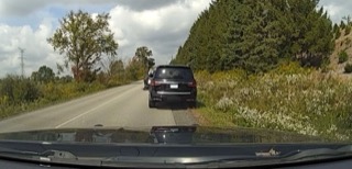 Black SUV on a winding road, green foliage on the roadside
