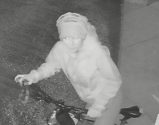 Person in a white puffy suit, holding a small fish