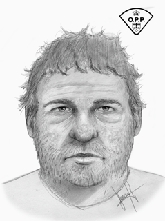 Portrait of a man with short, messy hair and a full beard.