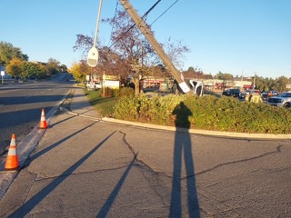 Orange traffic cones, long shadow, street, foliage, buildings