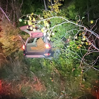 SUV partially submerged in tall grass, rear hatch open