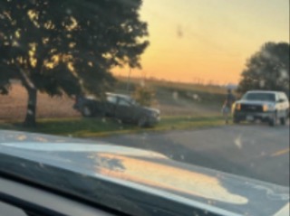 Two pickup trucks parked near trees, sunset glow