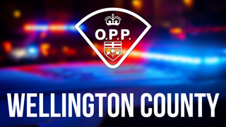Ontario Provincial Police crest over a blurred blue and red light background.