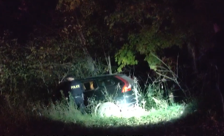 Damaged vehicle in dense foliage, police officer visible