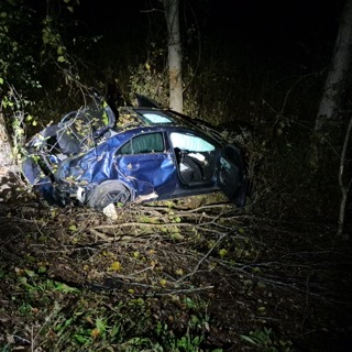 Damaged blue car in dense foliage.