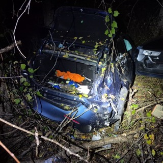 Damaged blue car embedded in dense foliage.