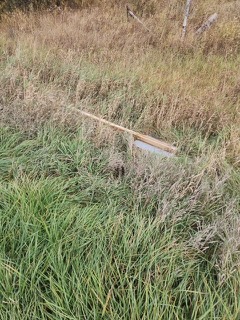 Wooden plank across tall grass