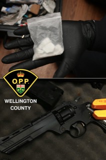 Firearm and baggies of white powder in gloved hands
