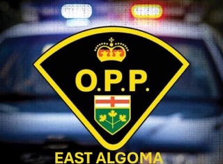 Ontario Provincial Police emblem, black background, gold border, crown above "O.P.P.", provincial flag below