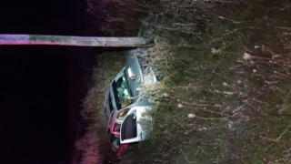 Damaged car in tall grass