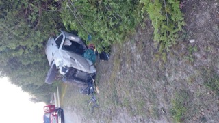 Damaged gray car in foliage.