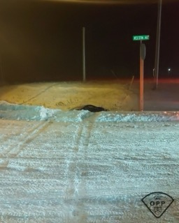 Snow-covered road and shoulder, Western Ave sign visible