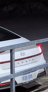 White Hyundai Sonata, rear view, license plate reads DEDX-839