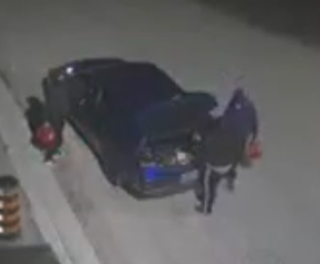 Black spider with red markings