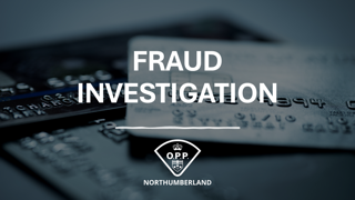 Fraud investigation