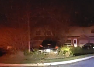 Car crashed into landscaping.