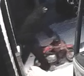 Dog wearing a red and black hat