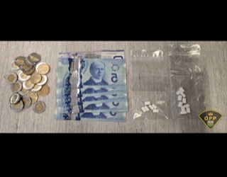 Canadian twenty-dollar bill, small pile of coins, clear baggies containing white powder