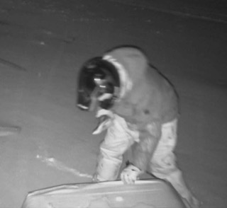 Person crouching on a car roof