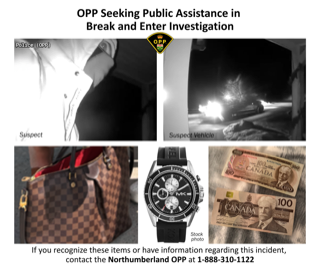Suspect partially visible, dark clothing, blurred Vehicle headlights, dark background, unclear Red designer handbag Wristwatch, black band, silver face Canadian currency, various denominations